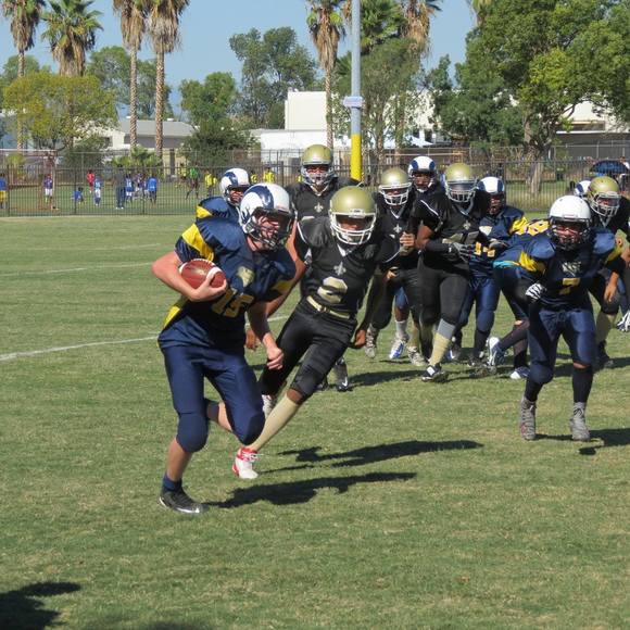 Meet your Posher, Hunter - Picture 1 of 1